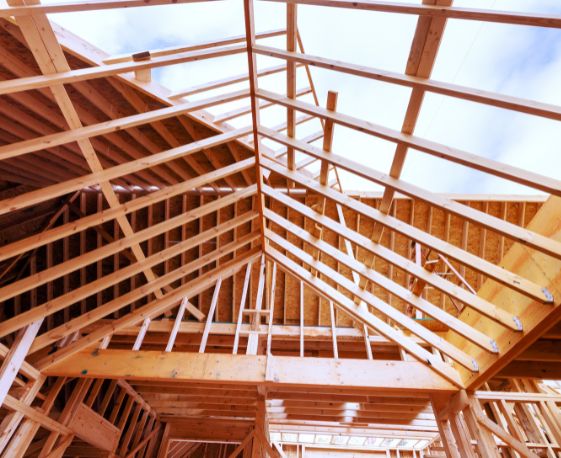 Structural Pine Tsitsikamma