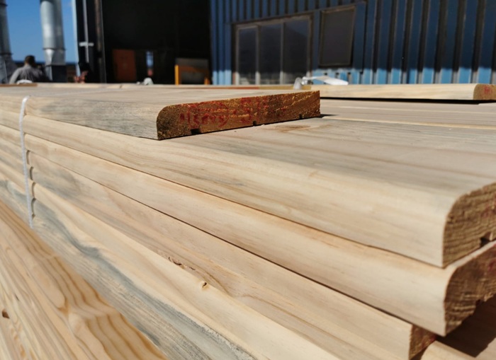 Fasica boards in Cape Town Fasica boards in Cape Town