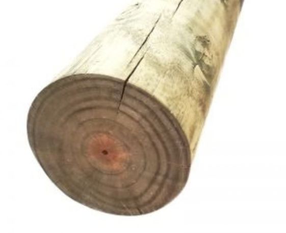 Pine Poles Cape Town